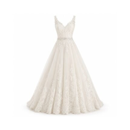 Alteaboutique Champagne A-Line Tulle Lace Applique Wedding Dress